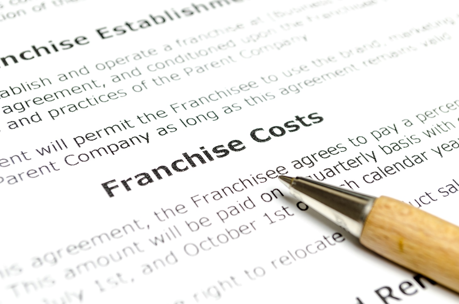 Structure of the Franchise Disclosure Document